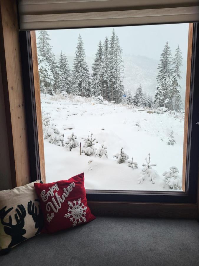 Hillview Jasna Chalet Demänovská Dolina Buitenkant foto